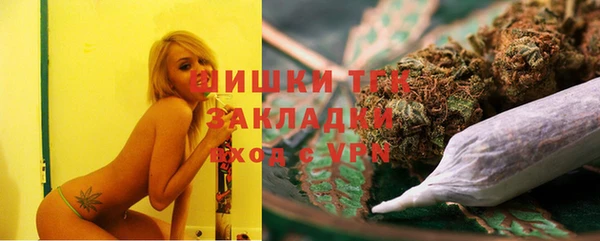 крисы Арсеньев