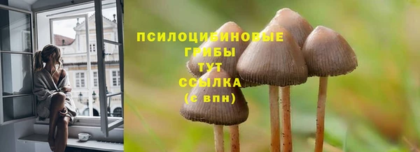 спиды Армянск