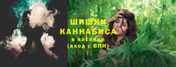 крисы Арсеньев
