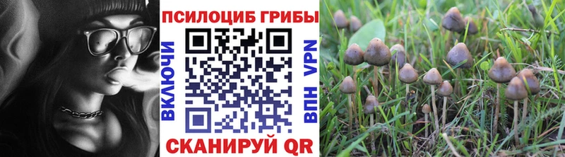 нарко площадка официальный сайт  гидра ССЫЛКА  Армянск  Галлюциногенные грибы Psilocybe 